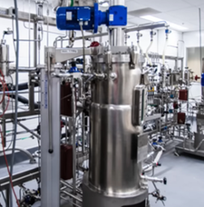 SIP Bioreactor 150L